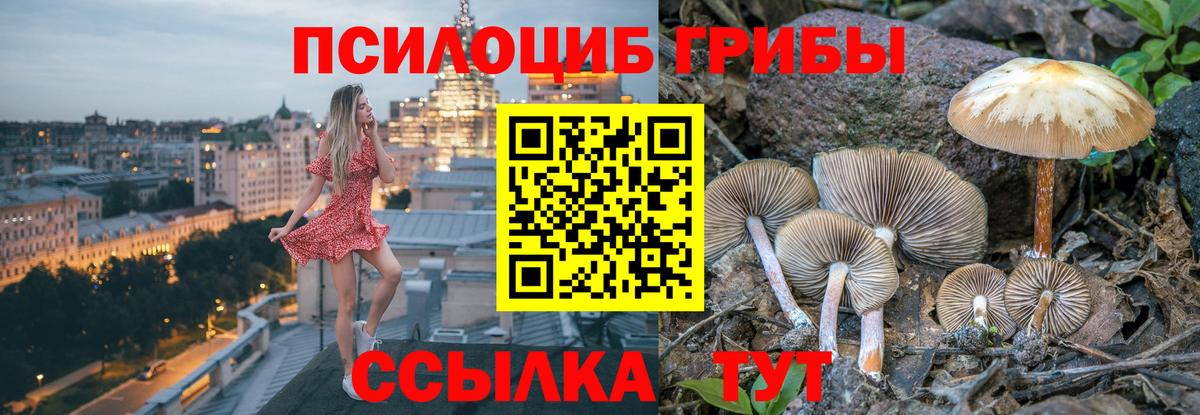 Белебей  Псилоцибиновые грибы ЛСД  Вход с VPN 